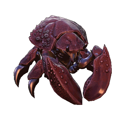 Chitinous Stalker