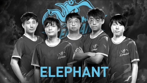 Elephant release Dota2 team and leave the pro scene