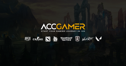 AccGamer, our steady accounts delivery project to deliver you all the gaming account within 10s