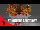 Stuntwood Sanctuary of the Crimson Witness