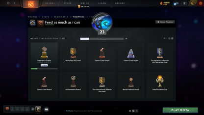 Guardian V | MMR: 1460 - Behavior: 9256