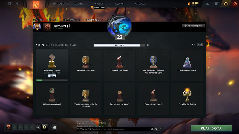 Immortal | MMR: 6228 - Behavior: 10000