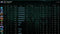 Divine II | MMR: 5010 - Behavior: 10000