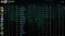 Immortal | MMR: 5780 - Behavior : 10000